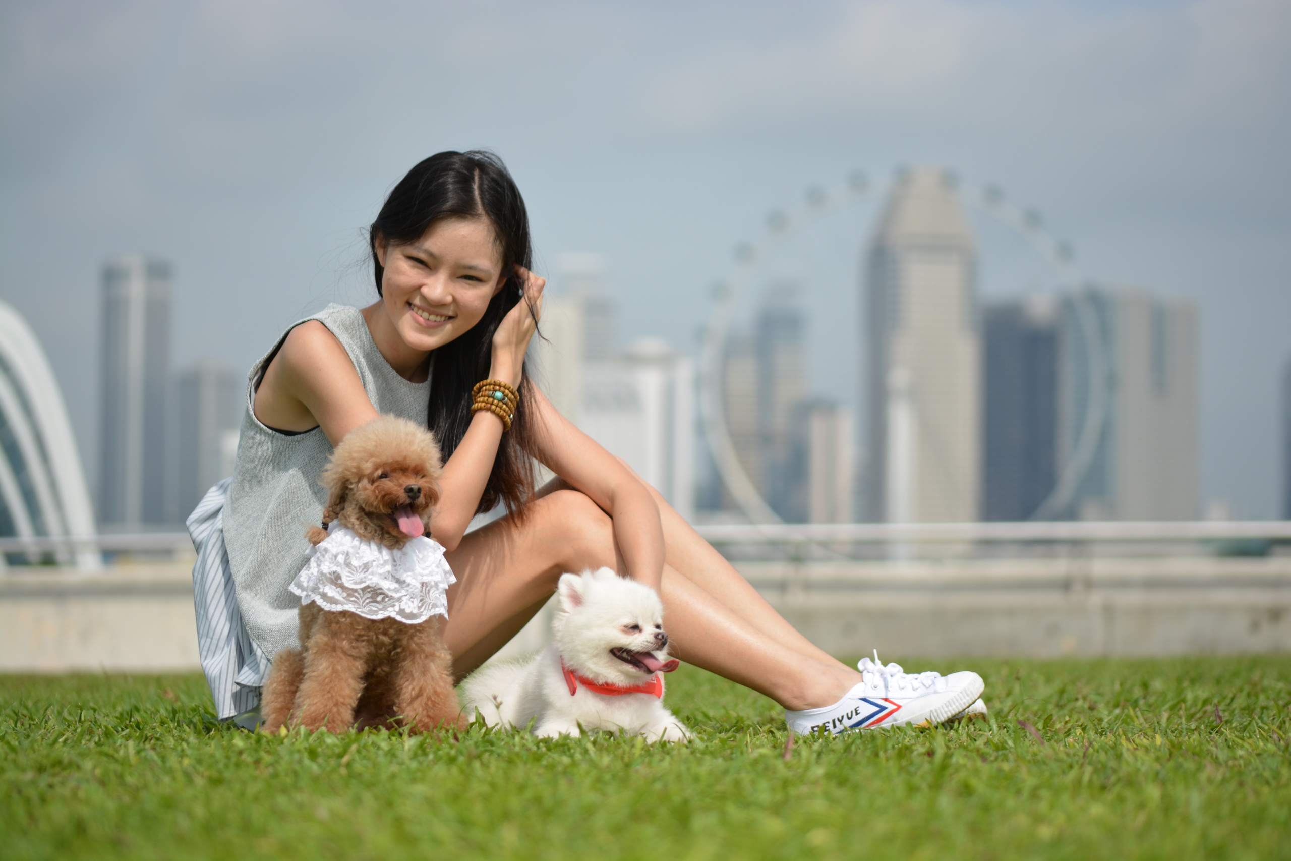 So, I got a pet from overseas, how do I bring it back to Singapore now