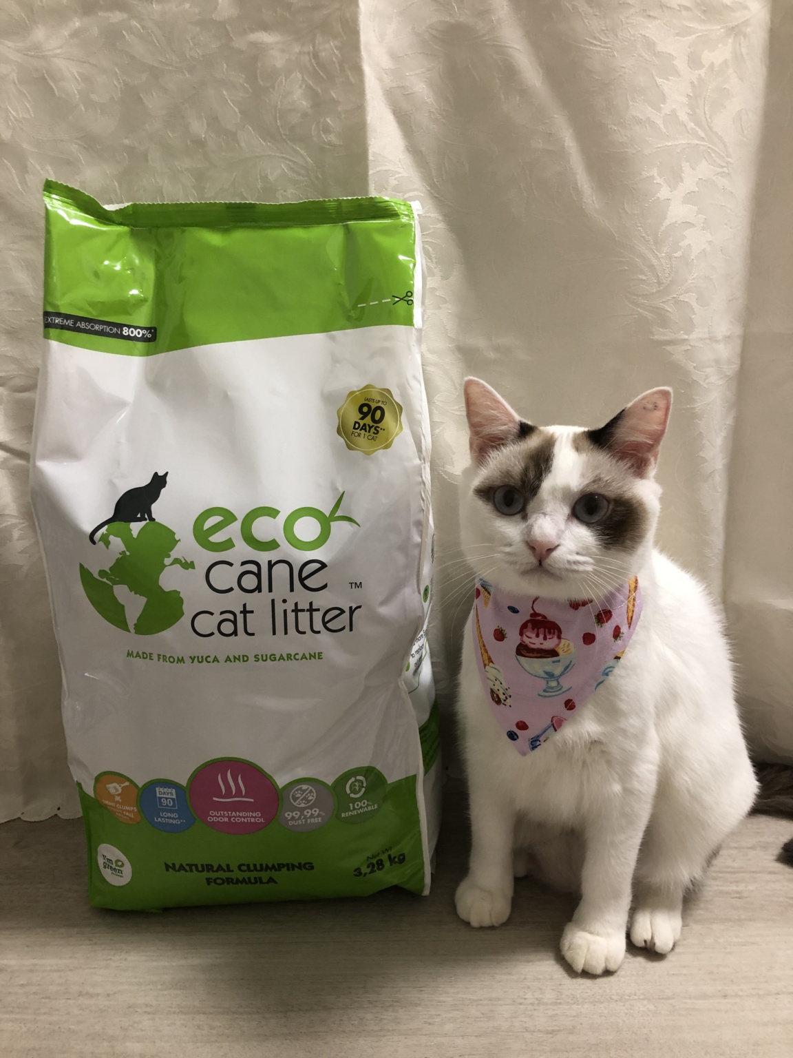 Finding the “best” cat litter Pawjourr Blog