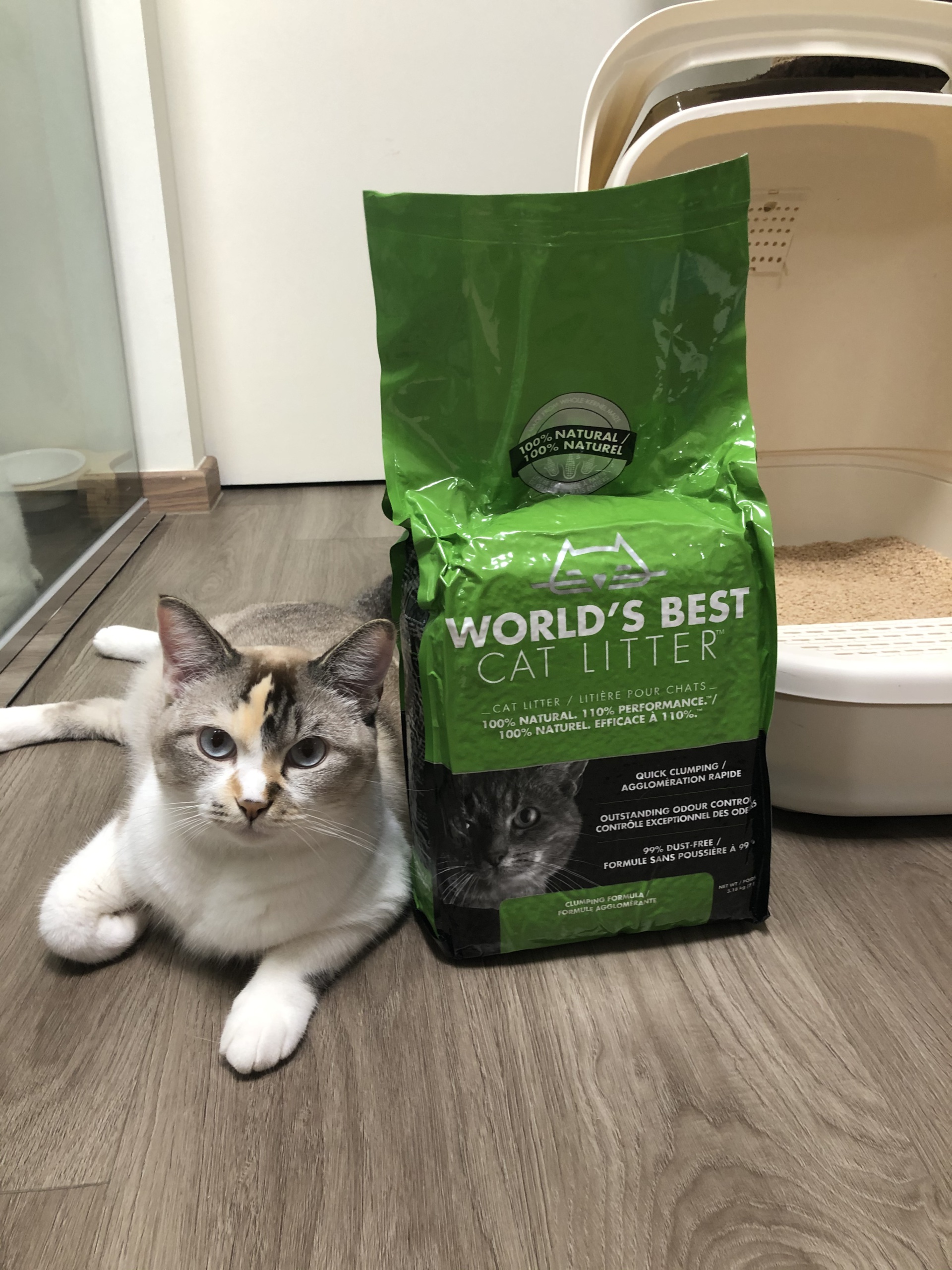 Finding the “best” cat litter Pawjourr Blog