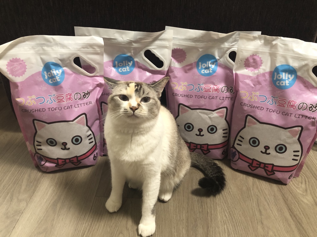 @_meowtales is back with another cat litter review! This time featuring Jolly Cat