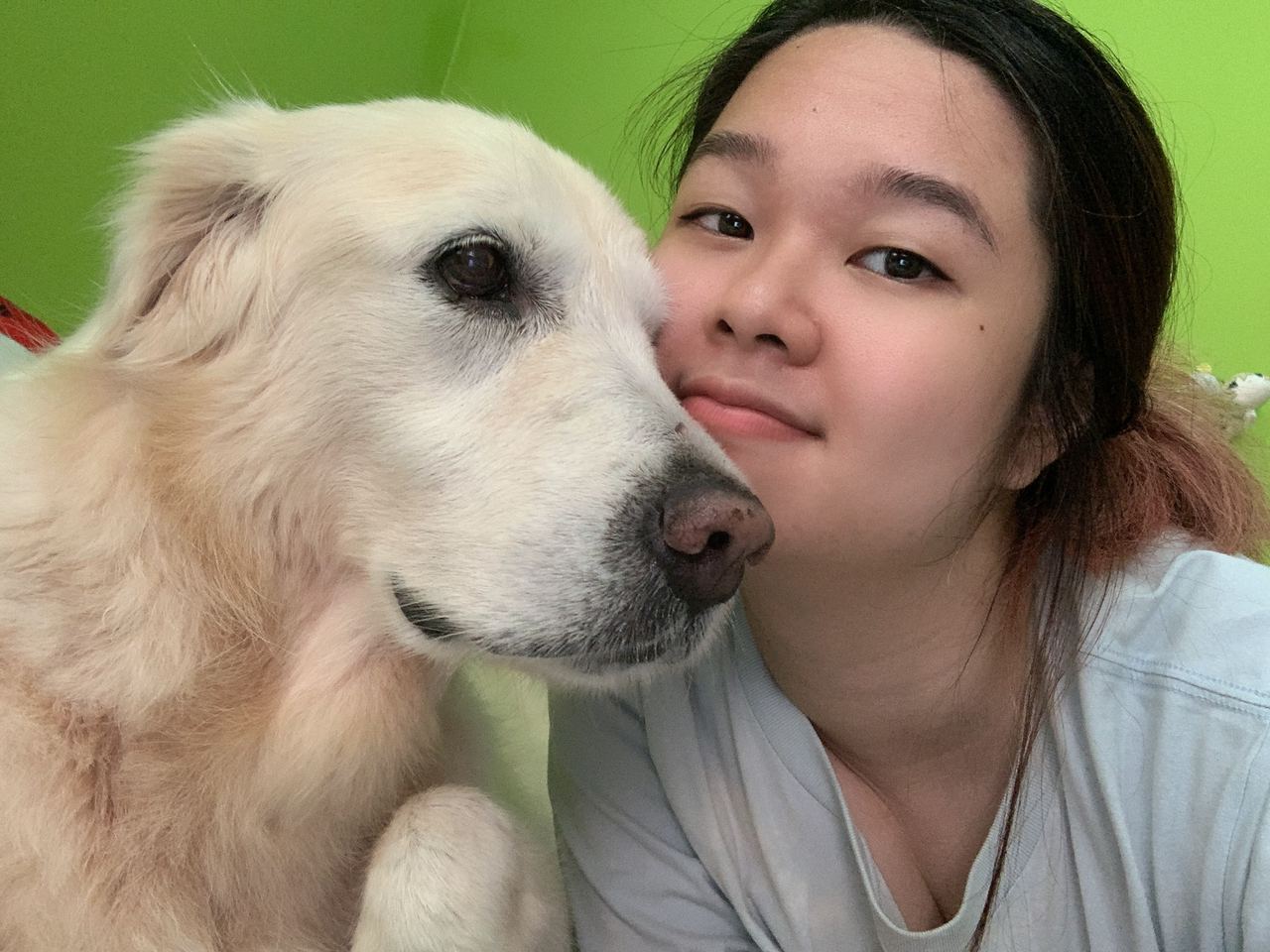 How to Care for an Older Dog Pawjourr Blog