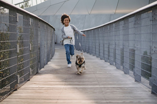 The Pawfect Weekend with Your Dog