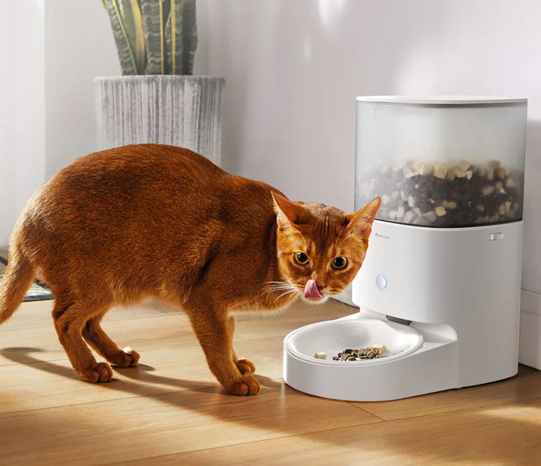 Find out more about Homerunpet Smart Pet Feeder